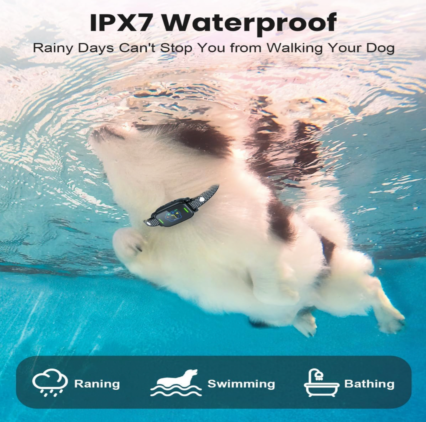 Chien blanc avec collier anti-aboiement nageant sous l'eau vu d'en dessous, mention IPX7 Waterproof avec icônes pluie, baignade et bain