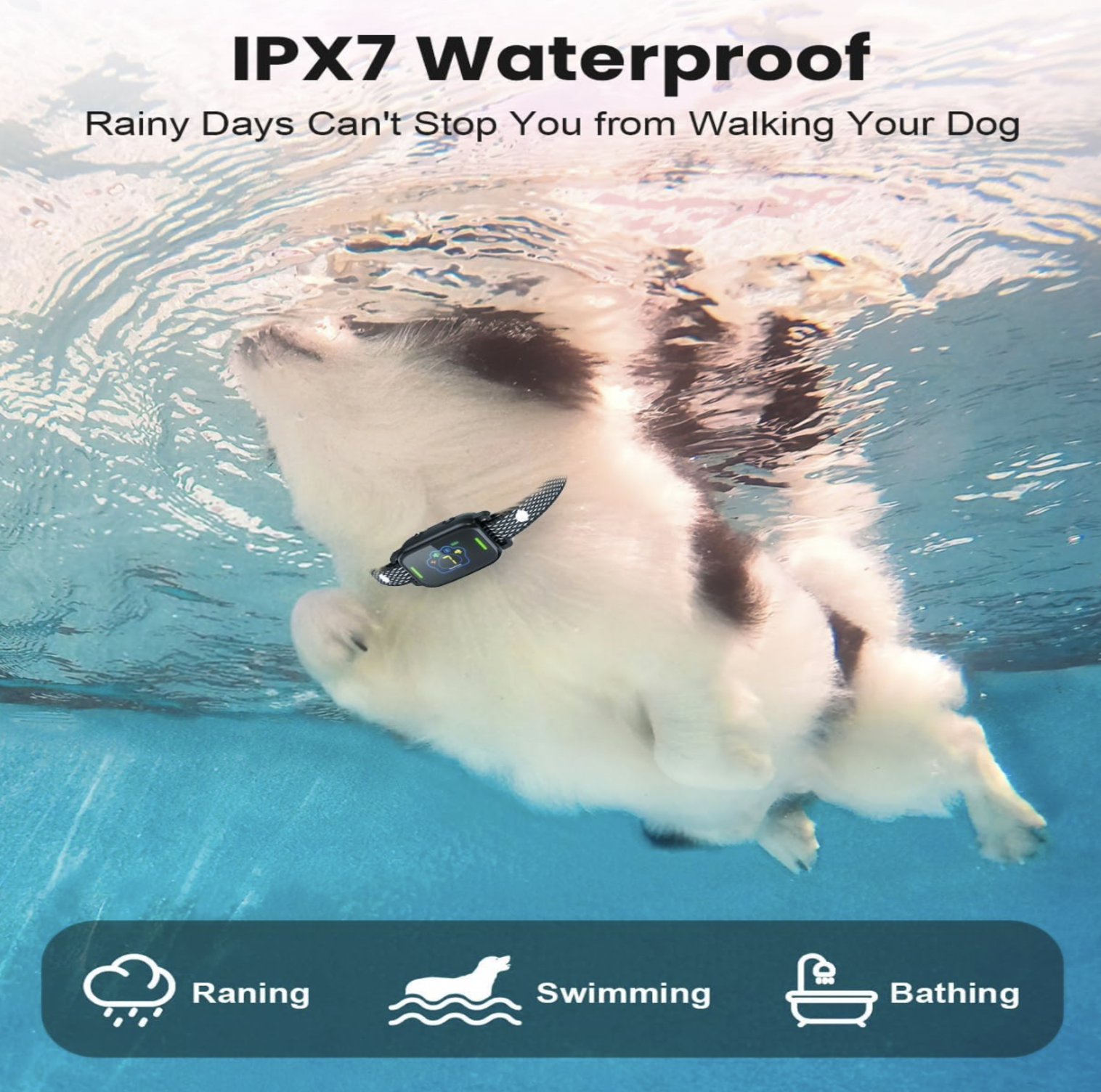 Chien blanc avec collier anti-aboiement nageant sous l'eau vu d'en dessous, mention IPX7 Waterproof avec icônes pluie, baignade et bain