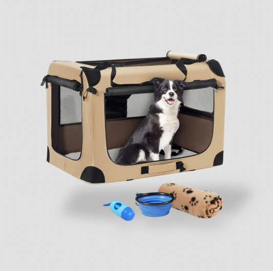 Border collie sitting in tan soft-sided travel dog crate with collapsible bowl and blanket