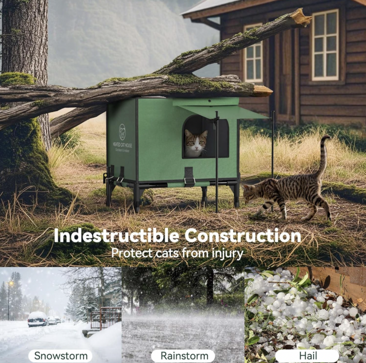 Maison pour chat verte sous une branche tombée avec chat à l'intérieur et chat tigré à côté, mentions Indestructible Construction et tempête de neige, pluie et grêle