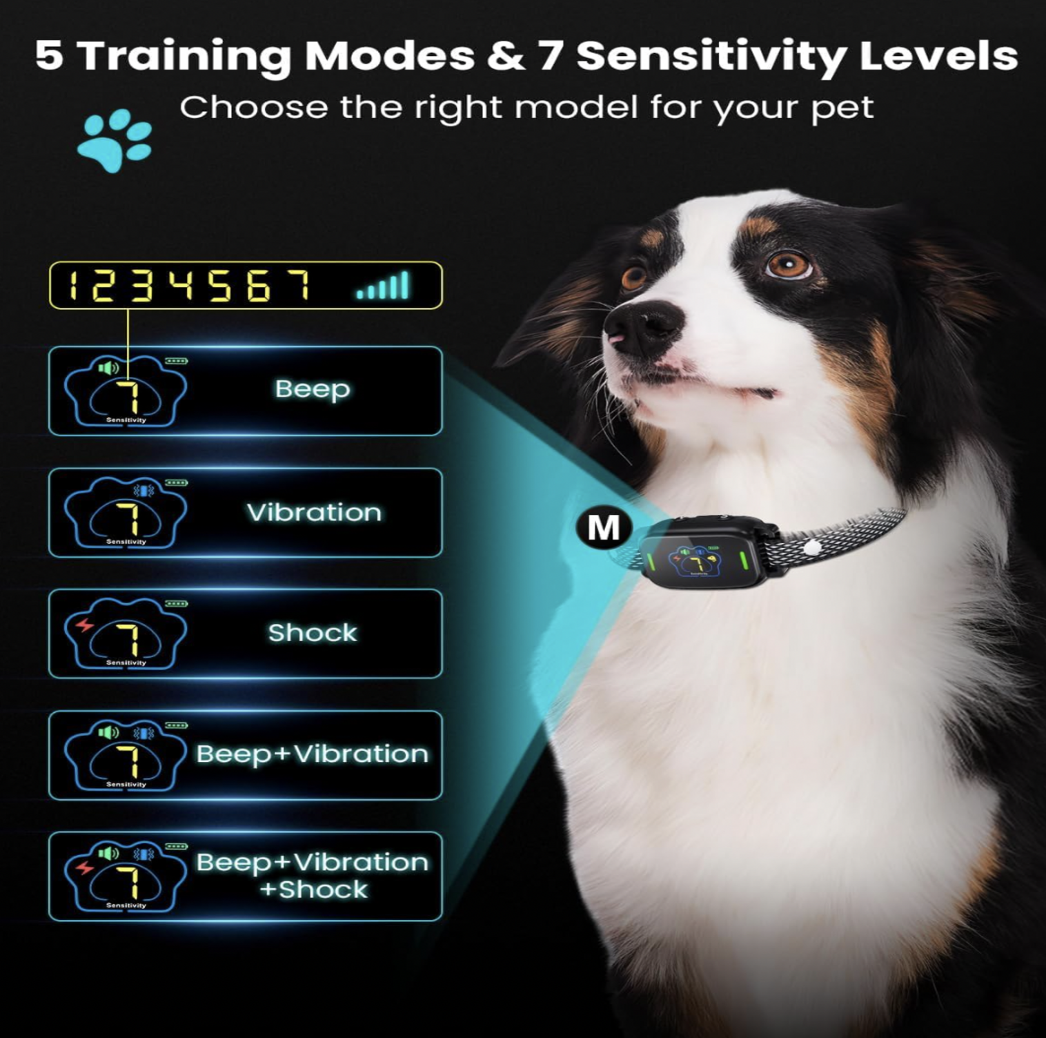 Border collie portant un collier anti-aboiement noir avec schéma listant les modes Beep, Vibration, Shock, Beep plus Vibration et Beep plus Vibration plus Shock, mention 5 Training Modes and 7 Sensitivity Levels