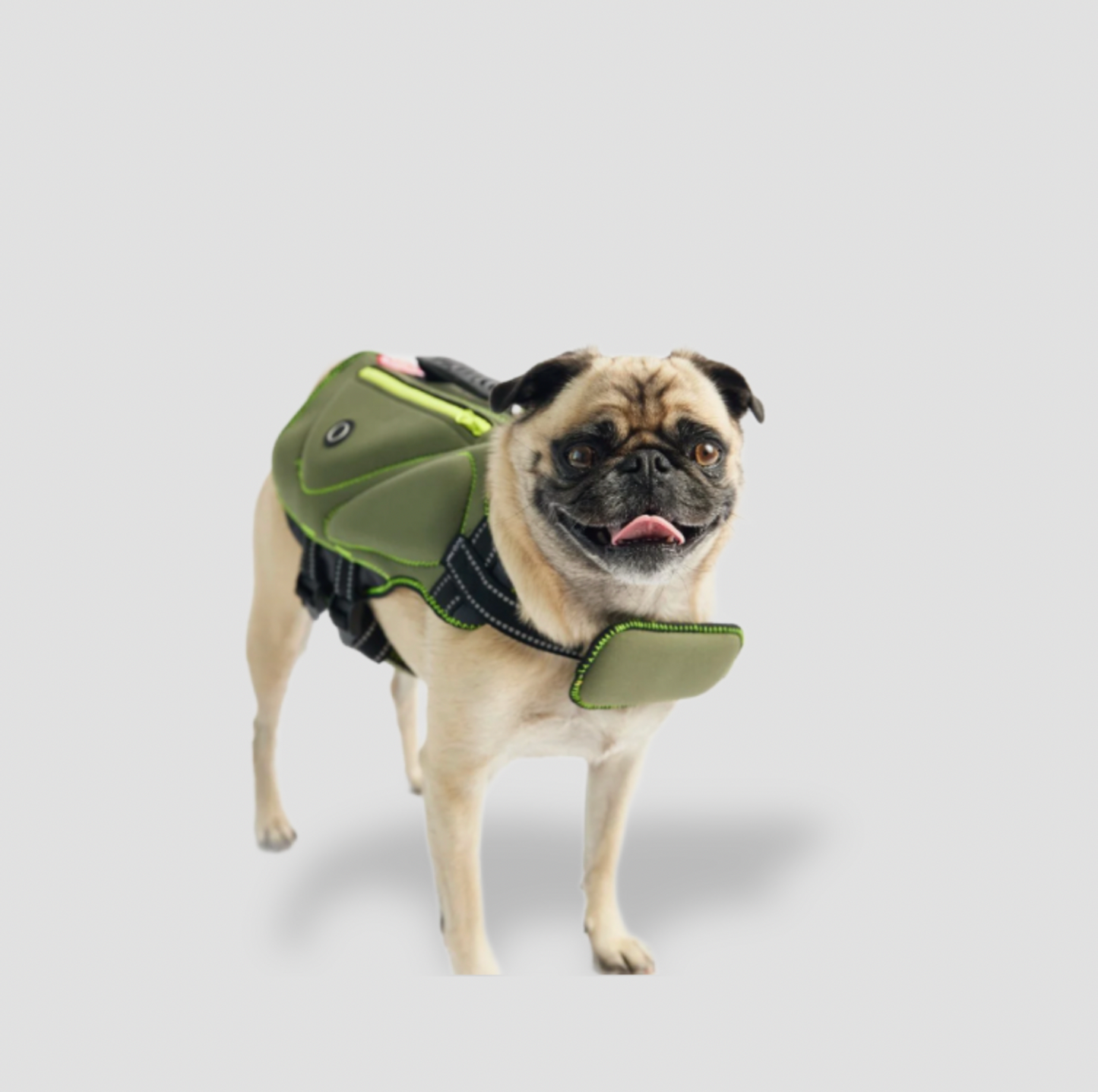 Carlin portant un gilet de sauvetage pour chien en néoprène vert avec bandes réfléchissantes, vue trois-quarts