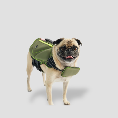 Carlin portant un gilet de sauvetage pour chien en néoprène vert avec bandes réfléchissantes, vue trois-quarts