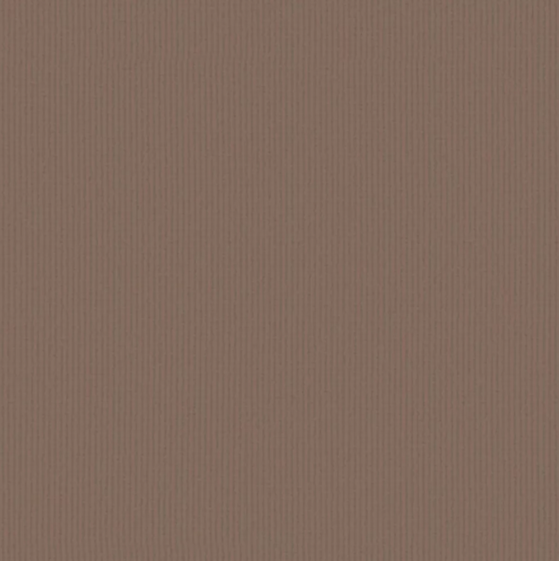 Close-up swatch of brown canopy fabric weave